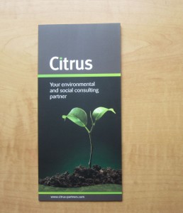 Brochure for Citrus Partners