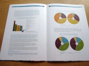 An inside spread of SunGard's white paper